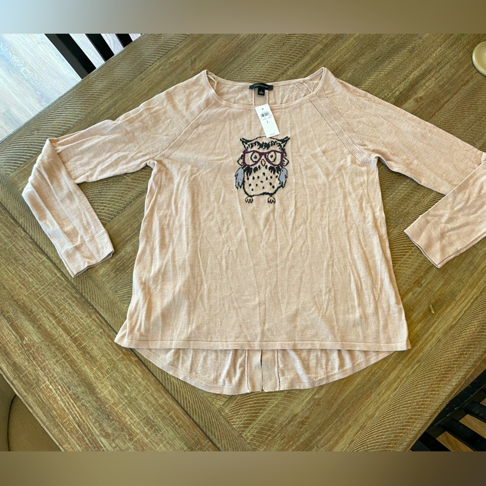 NWT Ann Taylor wool blend thin lightweight sweater owl glasses large cream